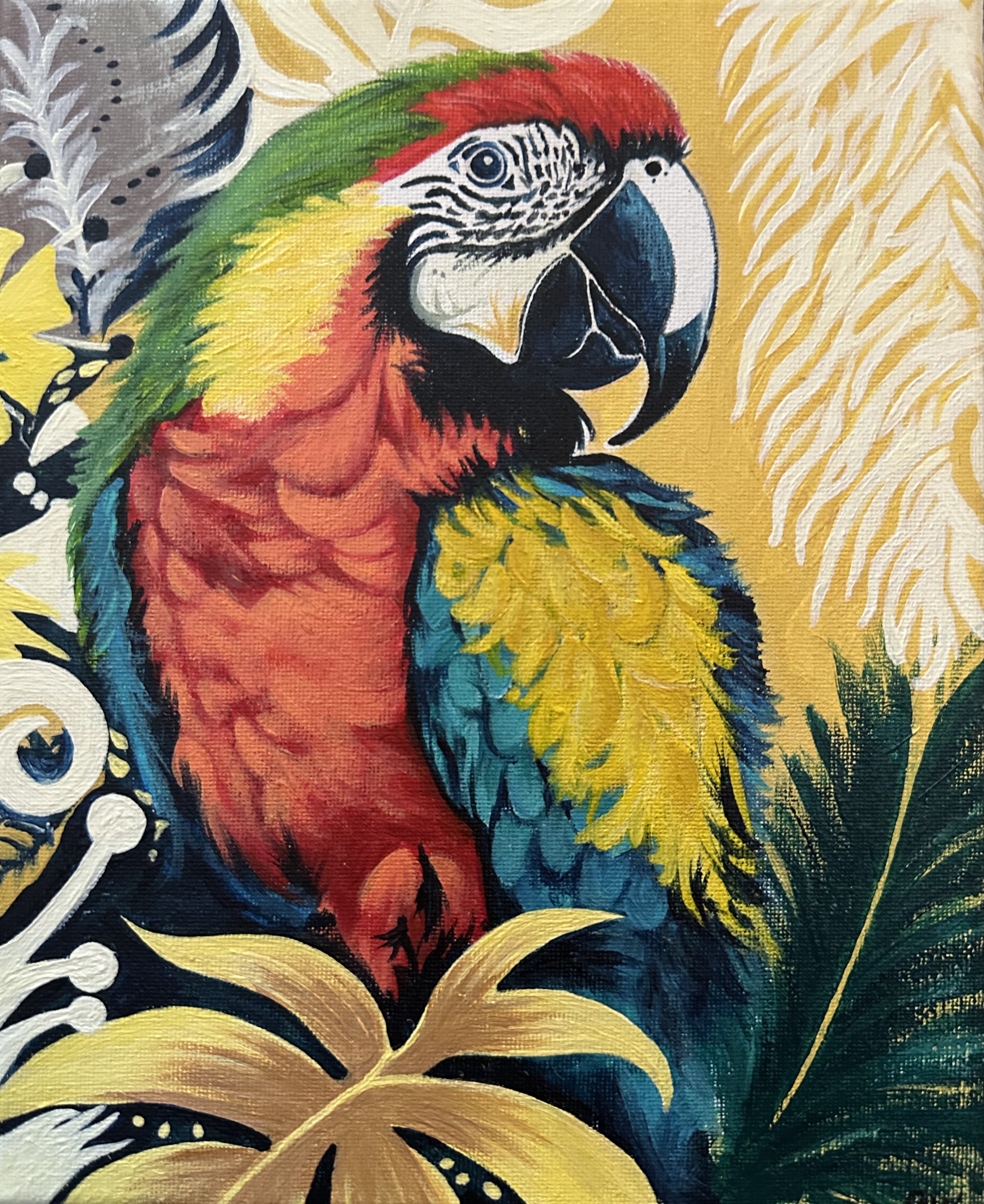 Scarlet Macaw