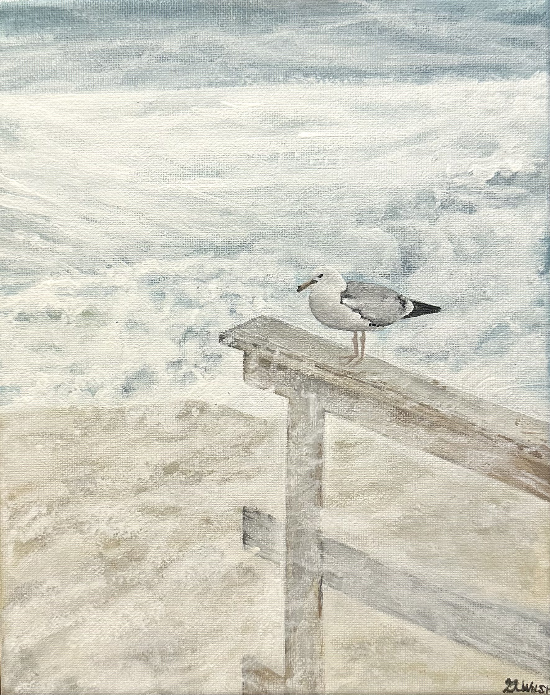 Lone Seagull - Part 1 of 3