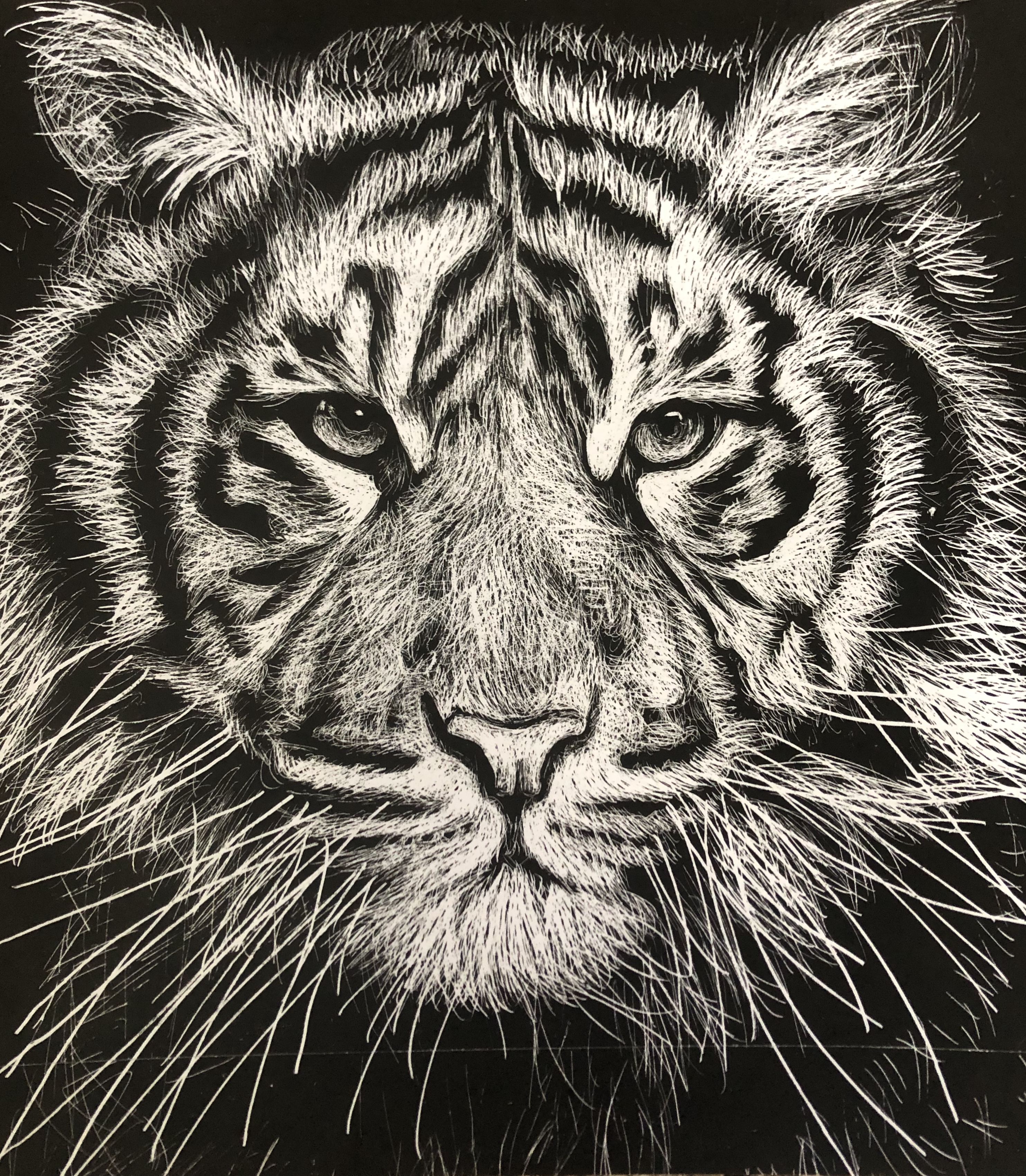 Eye of the Tiger